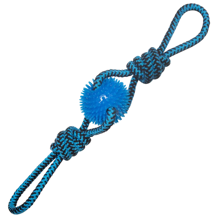 - Teething and chewing toys for puppiesSnugarooz Spikey Baby Dog Toy (19")