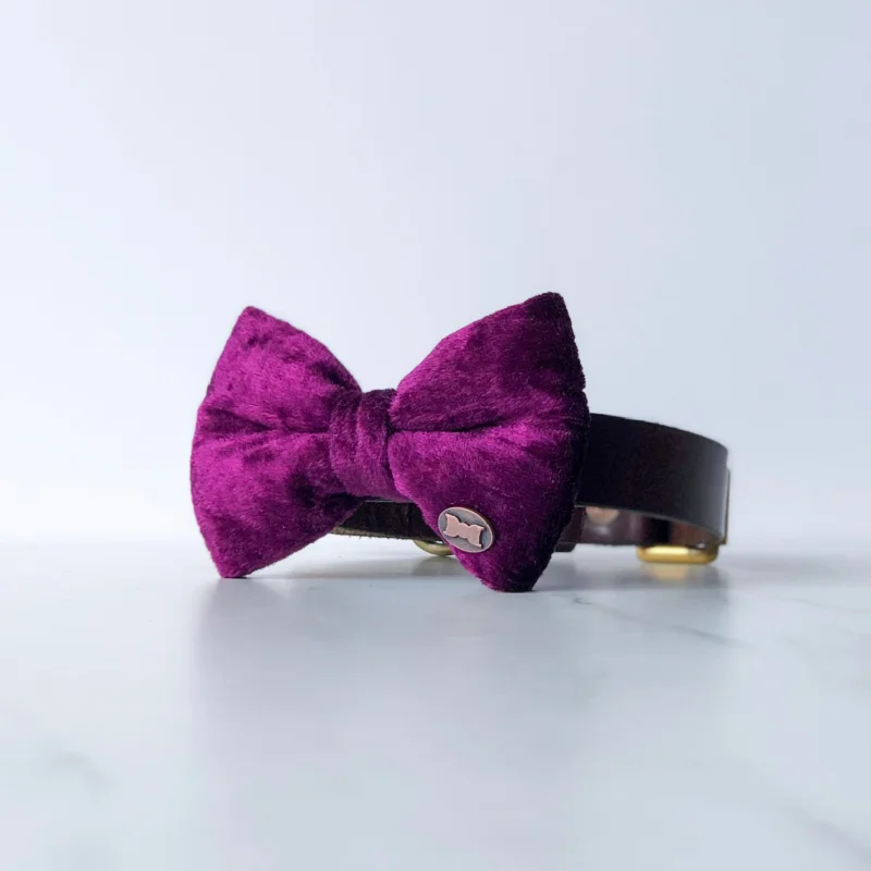 - Dog anti-slip matWinning Wine Velvet Dog Bow Tie