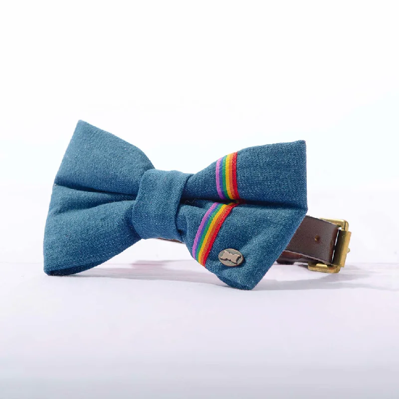 - Dog heart rate monitoring collarArco Iris Rainbow Denim Dog Bow Tie