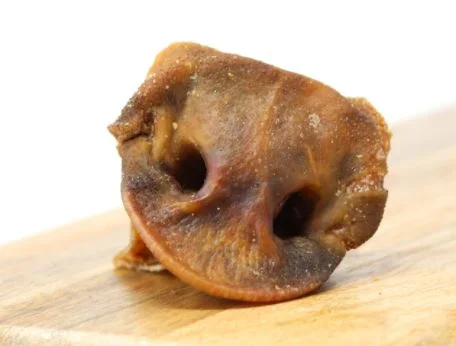 - Summer pet ice matPorky Snouts Singles