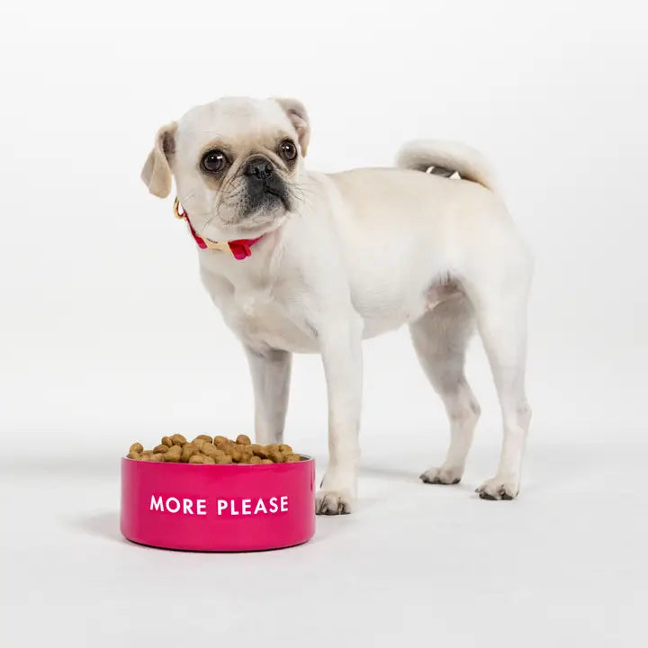 Pet Halloween clothesKate Spade More Please Pink Dog Bowl