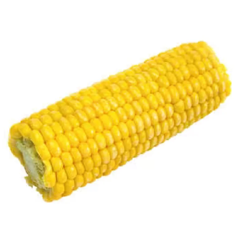 - Parrot climbing and standing wooden frameSweet Corn On The Cob Pack of 8