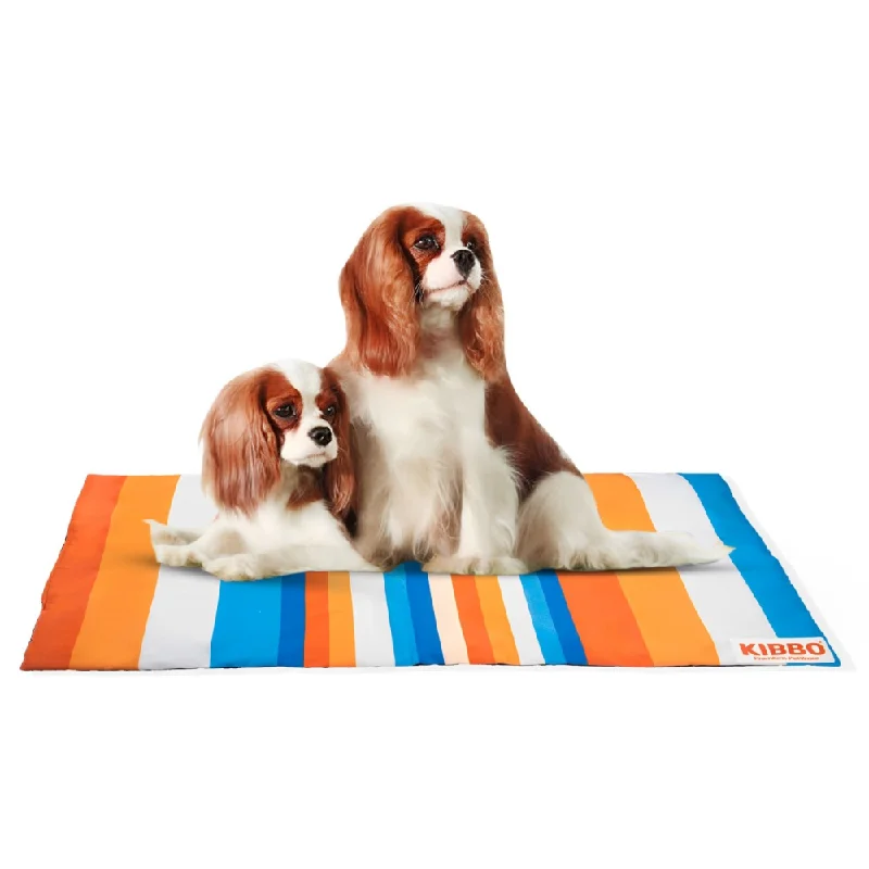 - Parrot climbing and standing wooden frameKibbo Lightweight and Portable Summer Mats for Dogs and Cats (Orange/Blue)