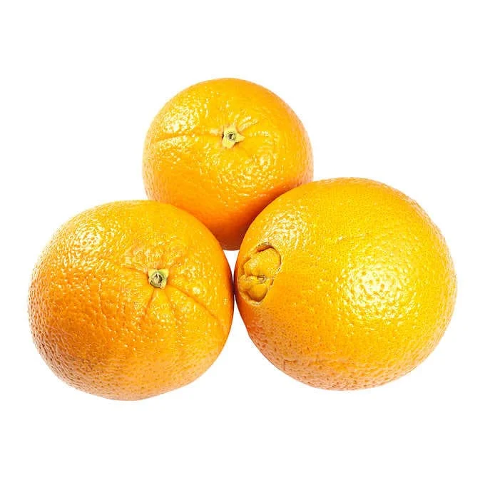 - Foldable and portable cat bagOranges