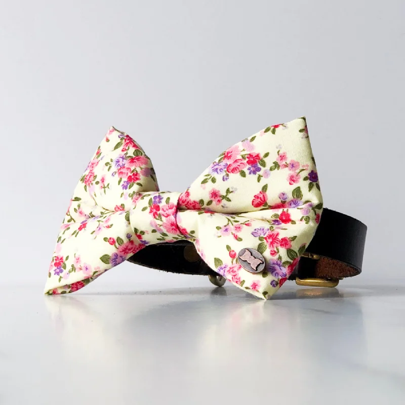- Pet tear stain cleaning wipesFingle Flower Dog Bow Tie