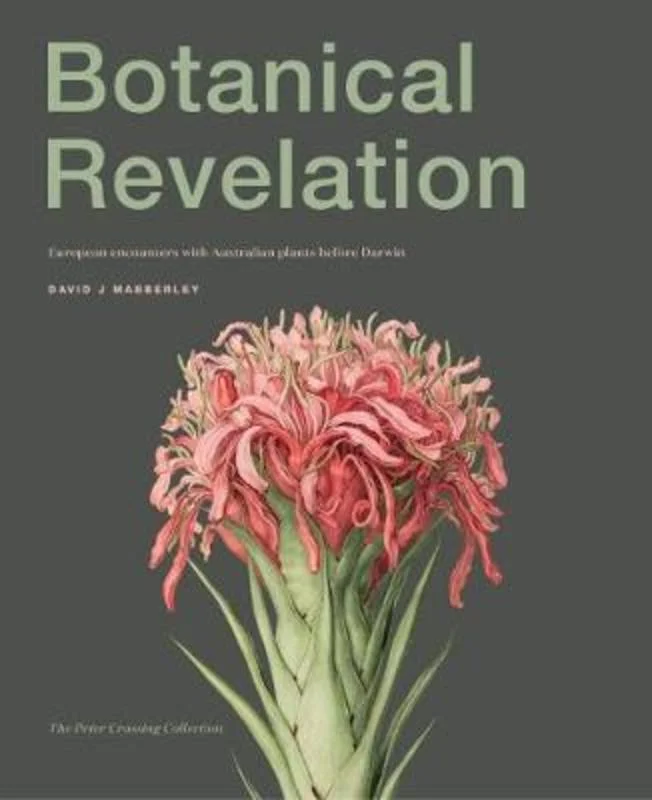---Botanical Revelation