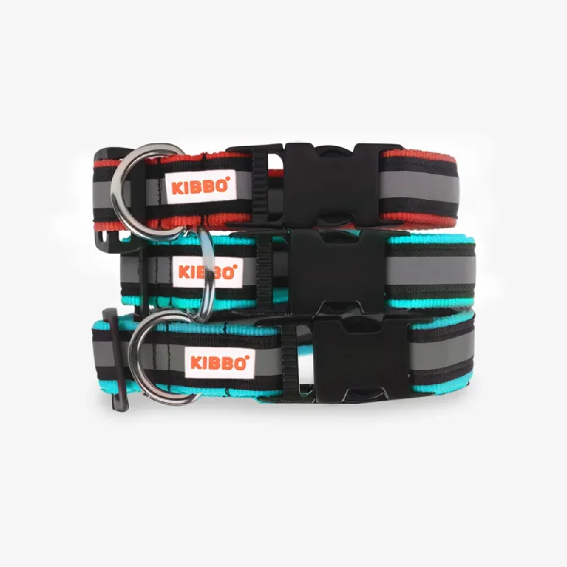 - Custom pet birthday cakeKibbo Premium Nylon Collar with Buckle and D Ring For Dogs (Sea Green, Red/Pack of 3) - Custom pet birthday cakeKibbo Premium Nylon Collar with Buckle and D Ring For Dogs (Sea Green, Red/Pack of 3)