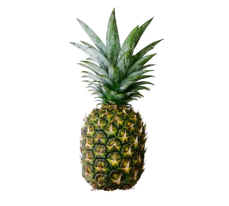 - ​​Christmas pet Christmas clothingGolden Pineapple