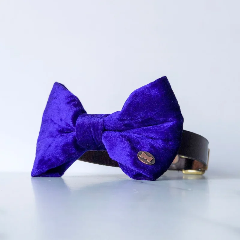 - Postoperative pet anti-licking Elizabethan collarPurple Pomp Velvet Dog Bow Tie