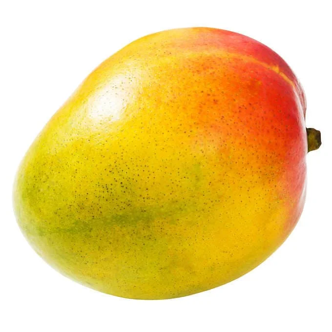 - Elderly dog ​​joint care mattressRed Mangoes