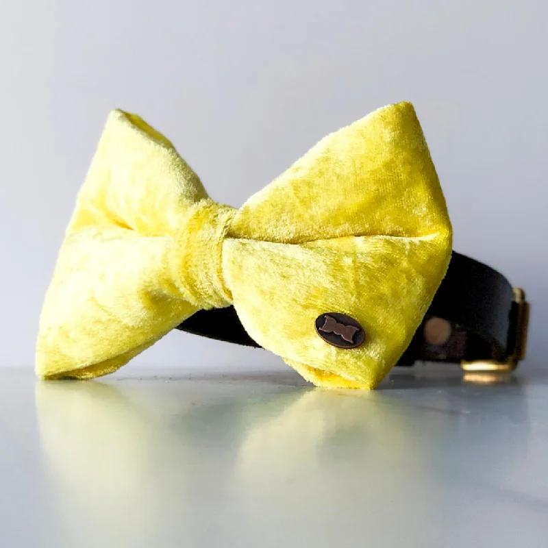 - Teething and chewing toys for puppiesHello Yellow Velvet Dog Bow Tie