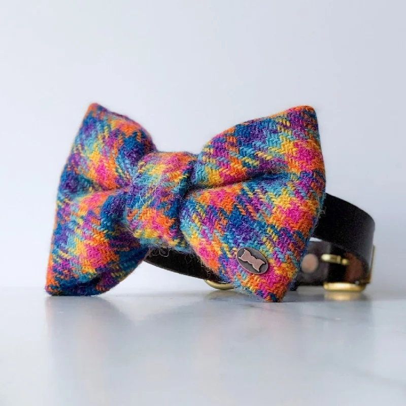 - Cat anti-jump window safety netTandy Rainbow Dog Bow Tie | Harris Tweed