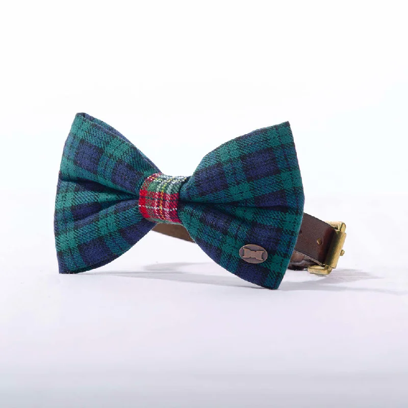 - Hamster silent running wheel to prevent chewingSmithfield Tartan Dog Bow Tie | Blue & Green - Hamster silent running wheel to prevent chewingSmithfield Tartan Dog Bow Tie | Blue & Green