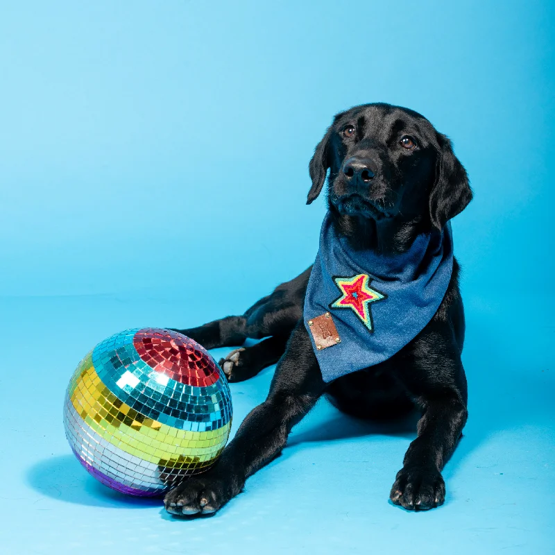 - Car dog seat beltShine Denim Dog Bandana | Rainbow Star