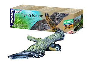 - Hamster silent running wheel to prevent chewingThe Big Cheese Flying Falcon With Sprung Hanging System Realistic Decoy Deterrent - Hamster silent running wheel to prevent chewingThe Big Cheese Flying Falcon With Sprung Hanging System Realistic Decoy Deterrent