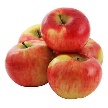 - Hamster silent running wheel to prevent chewingMcIntosh Apples