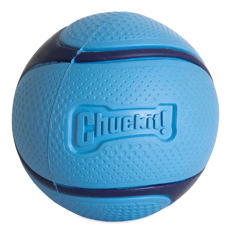 Pet ProductsChuckit! Bacon Sniff Fetch Ball Dog Toy