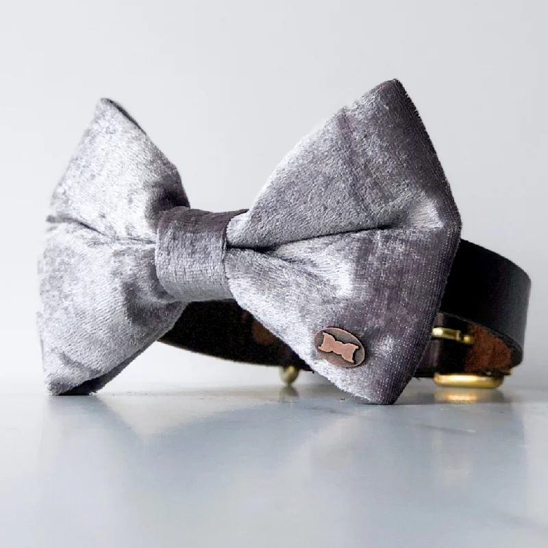 - Winter warm clothes for short-haired dogsStunning Silver Velvet Dog Bow Tie