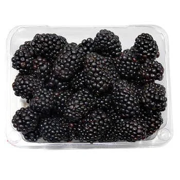 - Pet water dispenser UV sterilization versionBlackberries