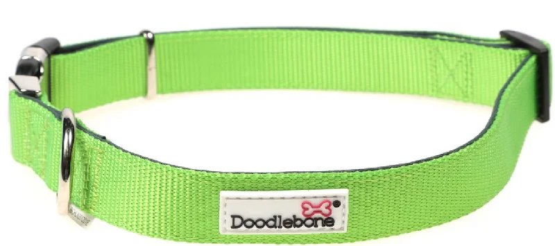 - Teething and chewing toys for puppiesDoodlebone Originals Padded Collar