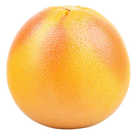 - Teething and chewing toys for puppiesGrapefruit 2.27 kg