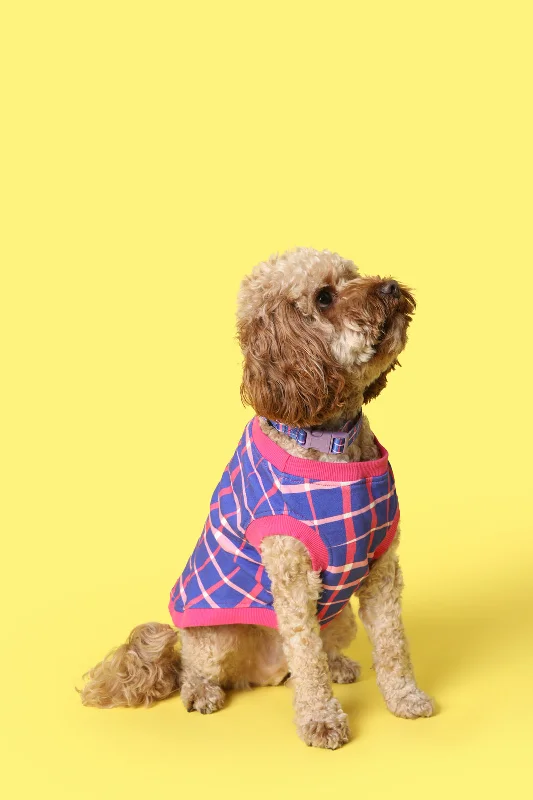 - Summer pet ice matReflection Pet Jumper