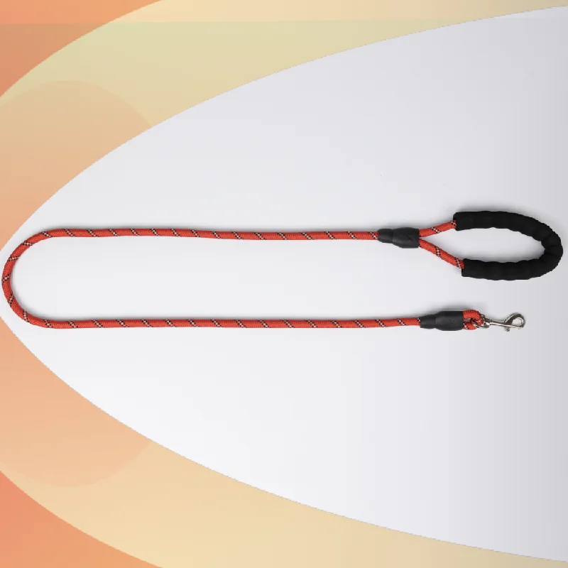 - Pet diabetes prescription foodSkatrs Reflective Nylon Rope Leash for Dogs (Red)