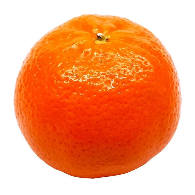 - Foldable and portable cat bagClementines