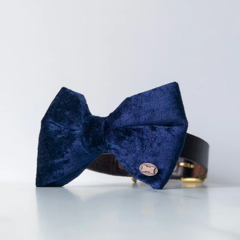 - Air box TSA certified check-inBobby Dog Bow Tie | Navy Blue Crushed Velvet