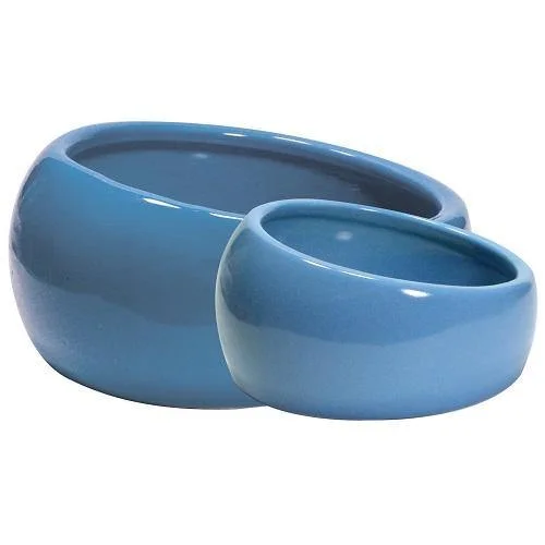 - Custom pet birthday cakeCeramic Ergonomic Dish - Blue