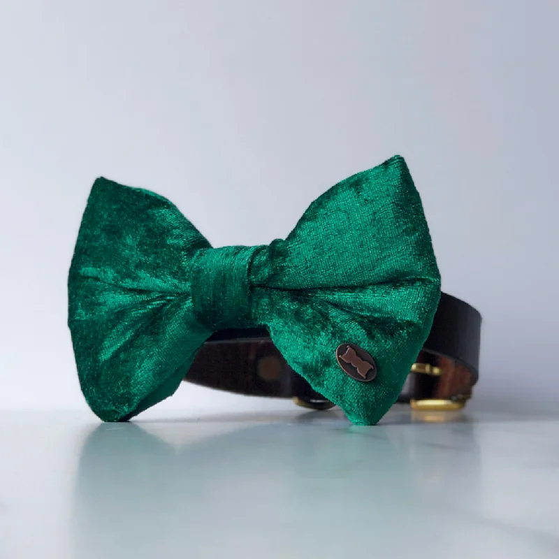 Pet ProductsGracious Green Velvet Dog Bow Tie