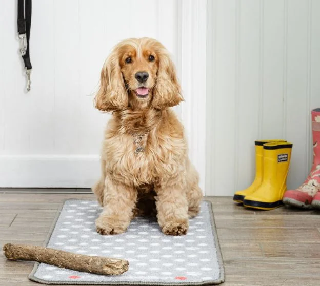 - Elderly dog ​​joint care mattressStop Muddy Paws Dotty Grey 45 X 100cm