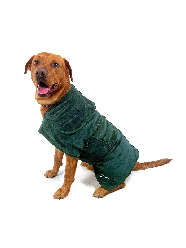 - Hamster silent running wheel to prevent chewingDog Robe Green XL