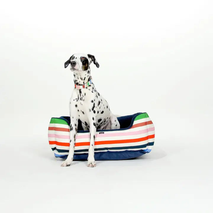 Pet retro style clothesKate Spade Adventure Stripe Bed