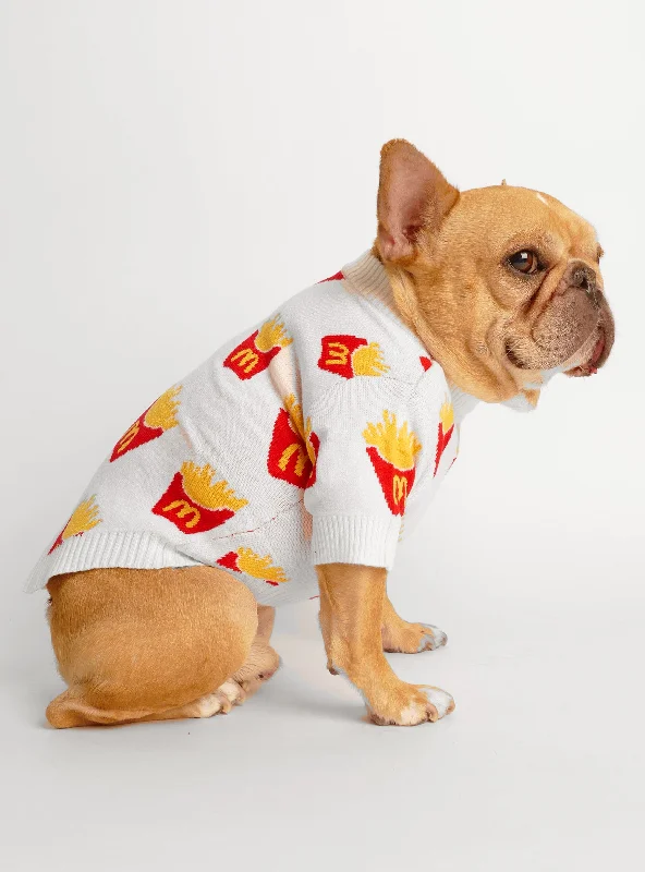Focus on health and safety:French Fried Dog Sweater