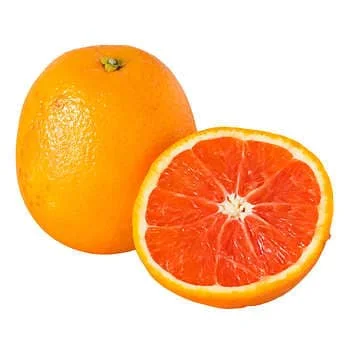 - Winter warm clothes for short-haired dogsCara Cara Oranges