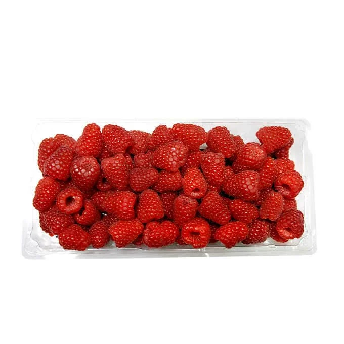 - Rabbit grass rack to prevent waste food boxSummer Dream Raspberries