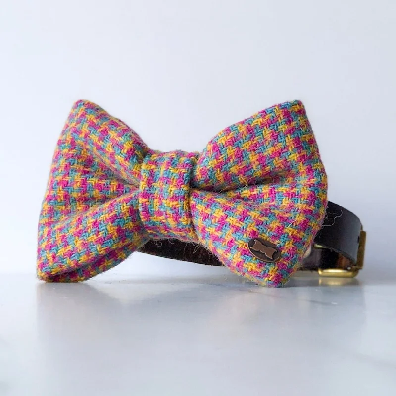 - Pet fence foldable indoorTutti Frutti Dog Bow Tie | Harris Tweed