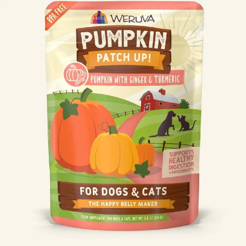 - Cat food for pregnant and nursing cats Weruva Pumpkin Patch Up! Pumpkin with Ginger & Turmeric Wet Dog and Cat Food - Cat food for pregnant and nursing cats Weruva Pumpkin Patch Up! Pumpkin with Ginger & Turmeric Wet Dog and Cat Food