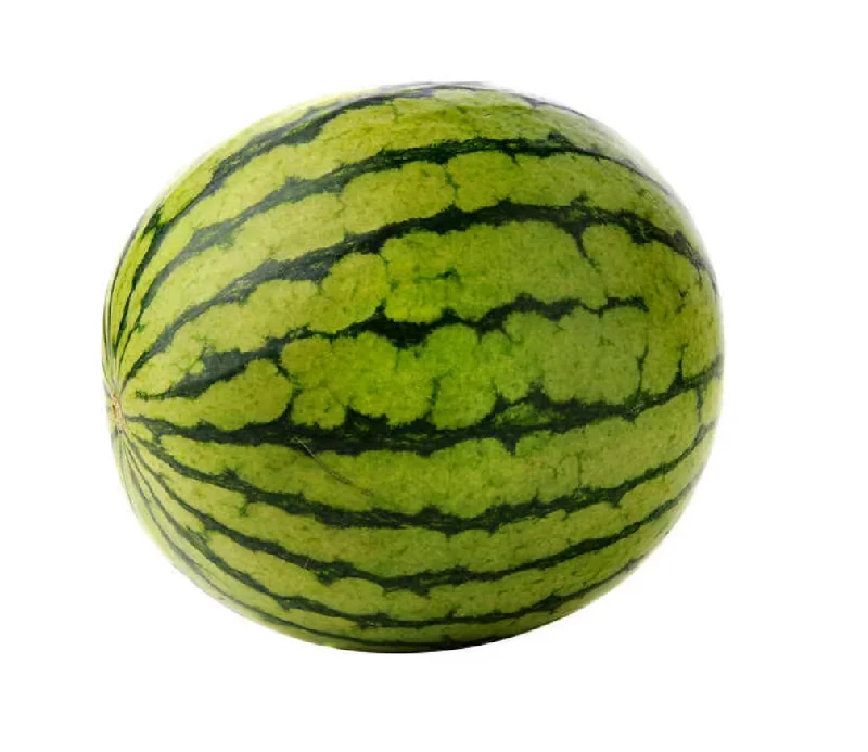 - Pet smart GPS locatorMini Seedless Watermelon