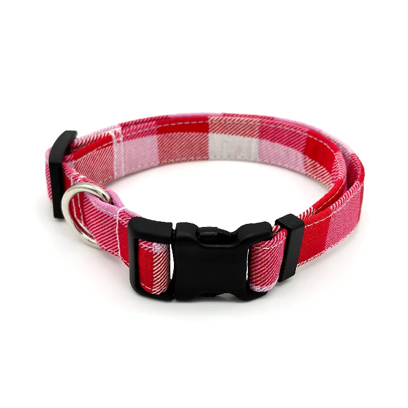  . **Dog paw cream is winter**Valentine's Day Check Dog Collar