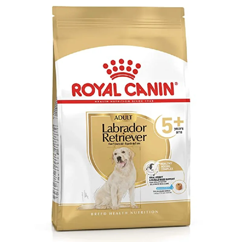 - Winter warm clothes for short-haired dogsRoyal Canin Labrador Adult 5+ Dog Dry Food - Winter warm clothes for short-haired dogsRoyal Canin Labrador Adult 5+ Dog Dry Food
