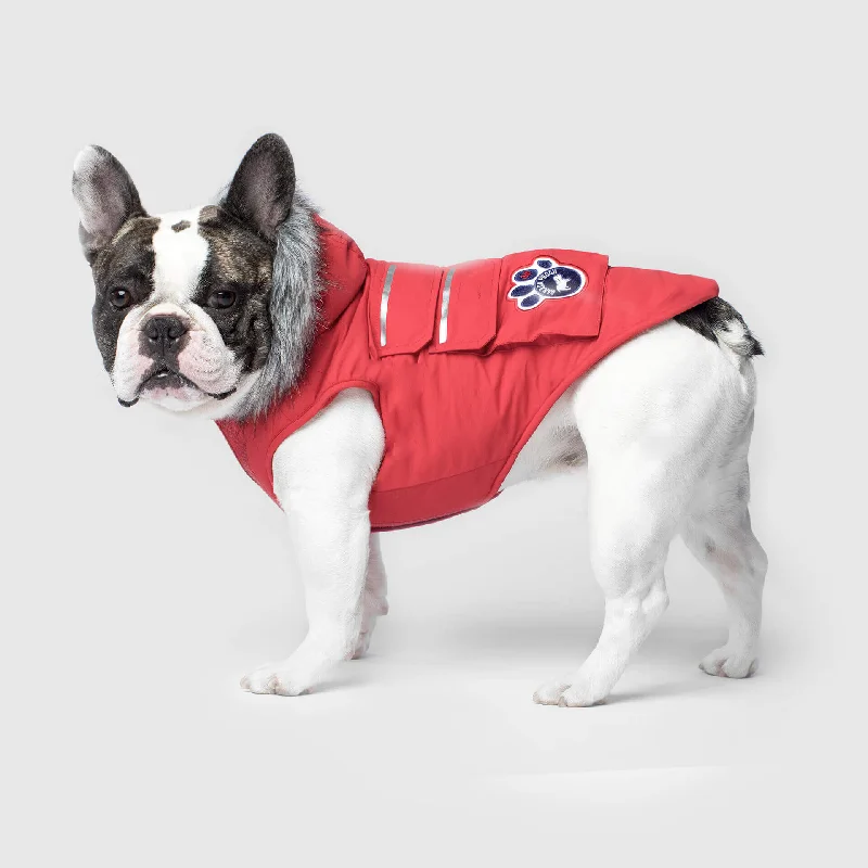 Pet holiday dress-up clothesEverest Explorer Jacket