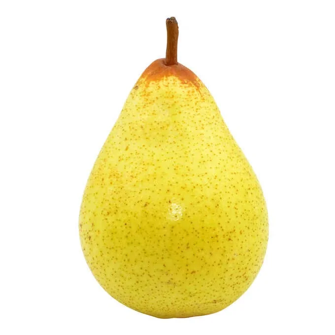 - Pet vitamin complex nutrition tabletsRocha Pear