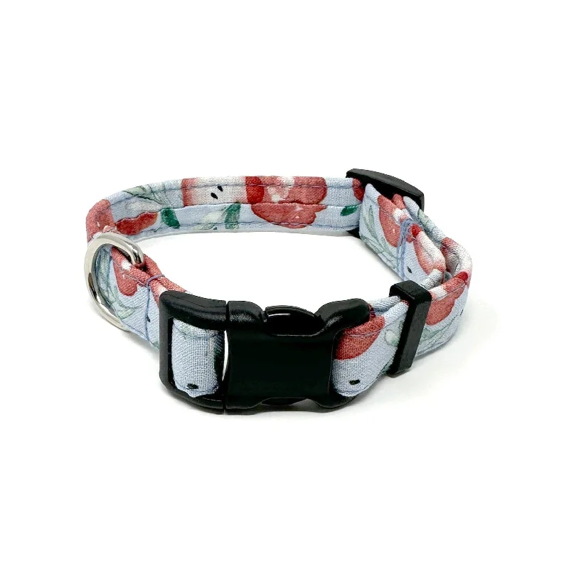  . **Cat scratching board corrugated paper**Apple Dog Collar