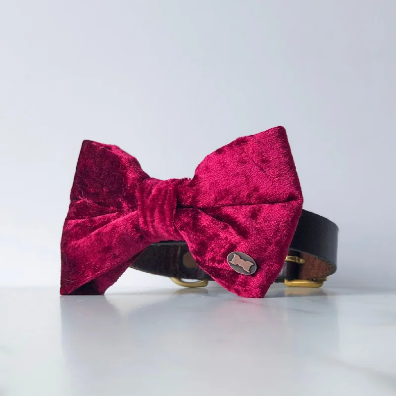 - Pet stroller can be taken on the planeResplendent Red Velvet Dog Bow Tie