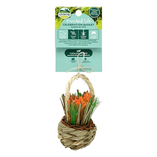 - Chinchilla cooling ice nest ceramic plateEnriched Life - Celebration Basket