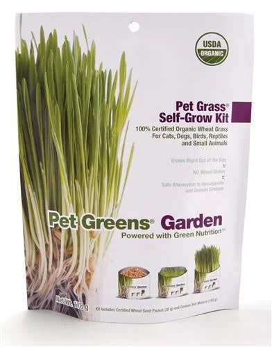 - Chinchilla cooling ice nest ceramic platePet Greens Garden Pet Grass Self Grow Kit