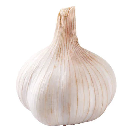 - Hamster silent running wheel to prevent chewingWhole Garlic 1.36 kg