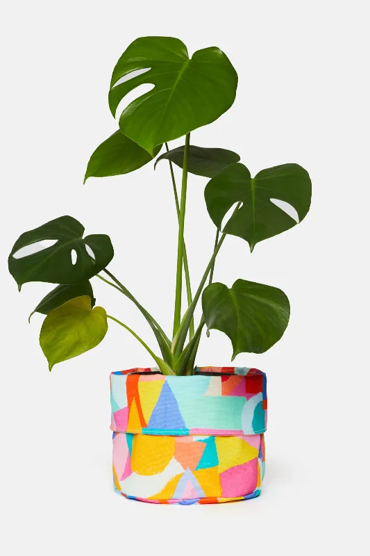 - Dog disposable foam shower gelGeo Sketch Medium Planter